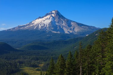 güzel manzara mount hood Oregon, usa