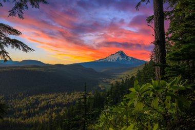 güzel manzara mount hood Oregon, usa