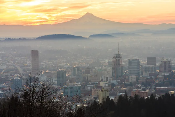 Hermosa Vista de Portland, Oregon — Foto de Stock