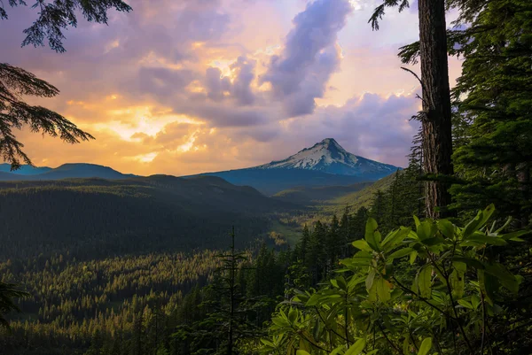 güzel manzara mount hood Oregon, usa