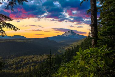 güzel manzara mount hood Oregon, usa