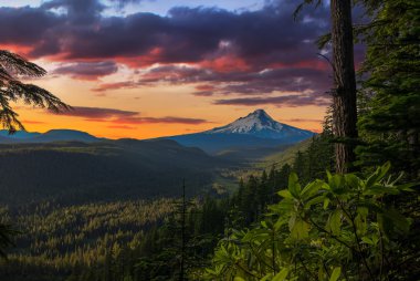güzel manzara mount hood Oregon, usa