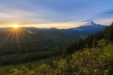 güzel manzara mount hood Oregon, usa