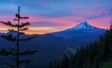 güzel manzara mount hood Oregon, usa