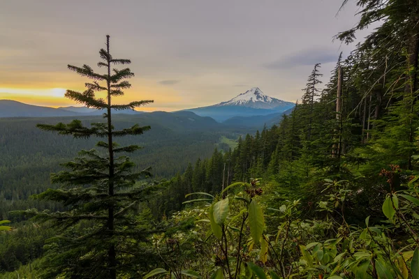 米国オレゴン州のフッド山の美しい眺め — ストック写真