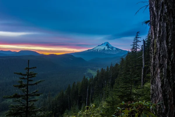 Güzel manzara mount hood Oregon, usa — Stok fotoğraf
