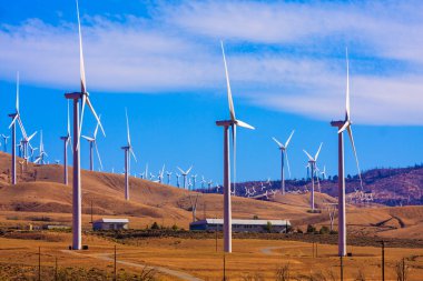 Parlak güneşli bir windfarm