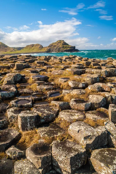 Giant's Causeway — Stockfoto