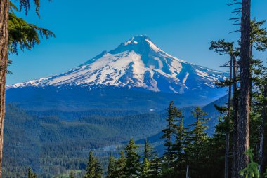 güzel manzara mount hood Oregon, usa.