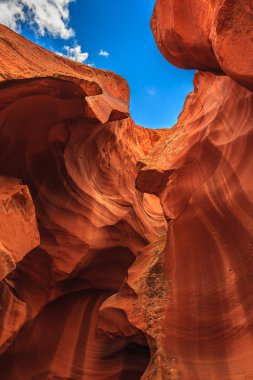 Antilop Kanyonu sayfa, Arizona