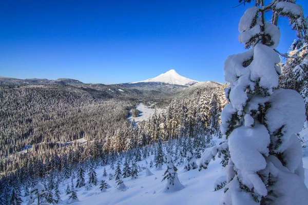 Hermosa Vista de Invierno de Mount Hood en Oregon, EE.UU. . —  Fotos de Stock