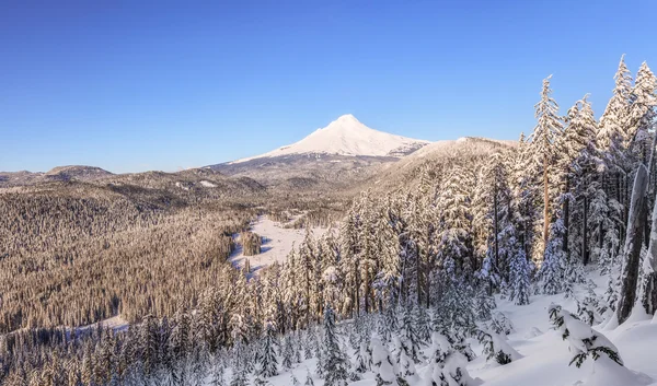 Bella vista invernale del Monte Hood in Oregon, Stati Uniti . — Foto Stock