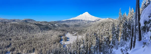 Beautiful Winter Vista of Mount Hood in Oregon, USA. — Stock Photo, Image