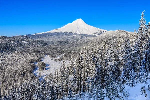 Belle vue d'hiver du mont Hood en Oregon, États-Unis . — Photo