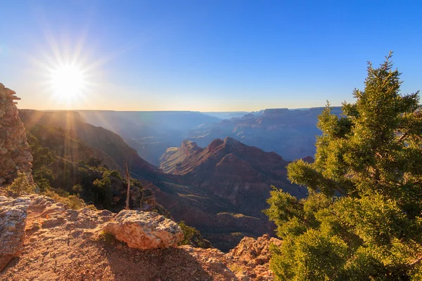 Majestic Vista of the Grand Canyon at Dusk — Stock Photo, Image