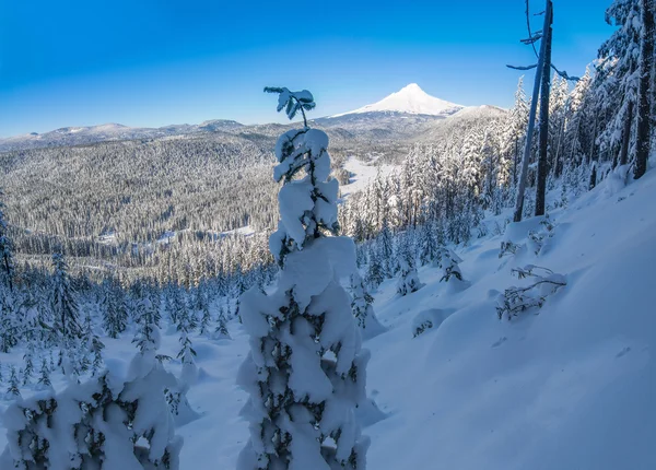 Hermosa Vista de Invierno de Mount Hood en Oregon, EE.UU. . —  Fotos de Stock