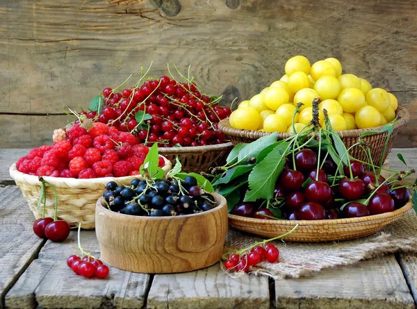 Färsk frukt och bär i korgar på trä bakgrund - röda och svarta vinbär, hallon, körsbär, gula plommon — Stockfoto