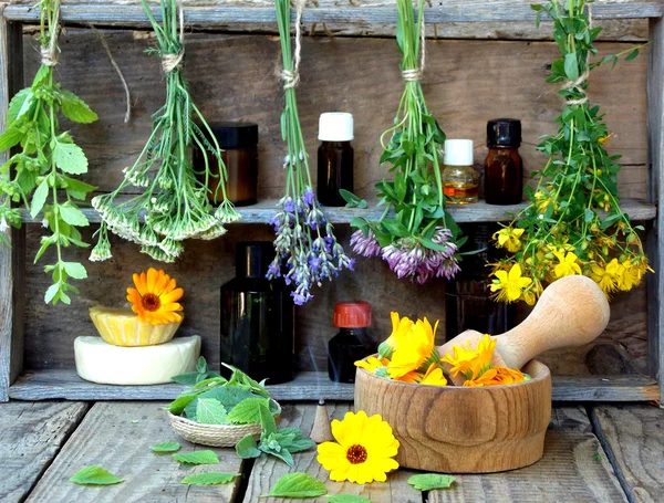 şifalı otlar demetleri - nane, yarrow, lavanta, yonca, hyssop, milfoil, calendula ve şişe çiçekleri ile harç
