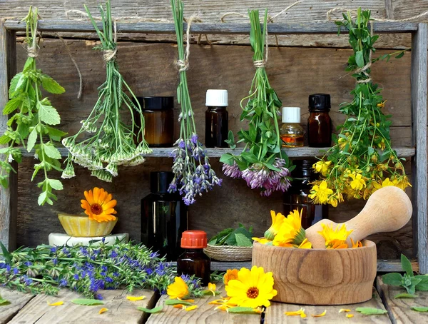 şifalı otlar demetleri - nane, yarrow, lavanta, yonca, hyssop, milfoil, calendula ve şişe çiçekleri ile harç