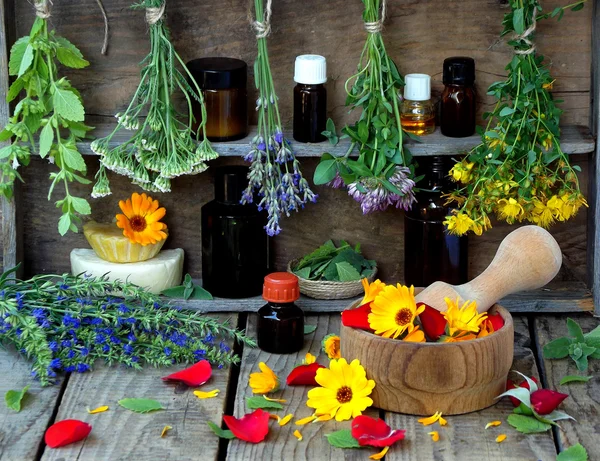 Cachos de ervas curativas - hortelã, yarrow, lavanda, trevo, hissopo, milfoil, argamassa com flores de calêndula e garrafas — Fotografia de Stock