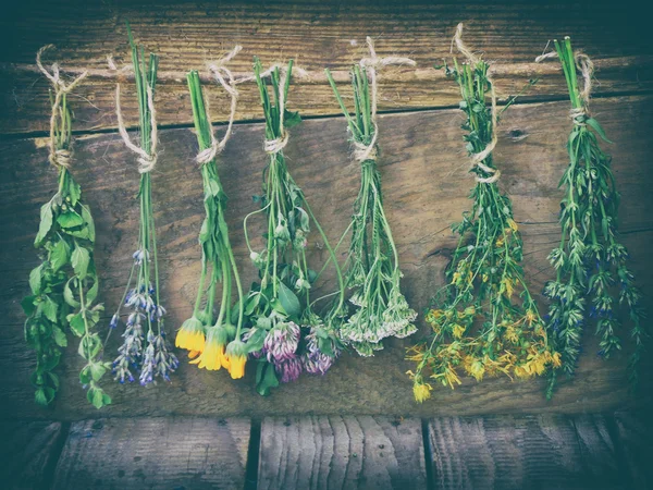 Cachos de ervas curativas - hortelã, yarrow, lavanda, trevo, hissopo, milfoil, argamassa com flores de calêndula e garrafas — Fotografia de Stock