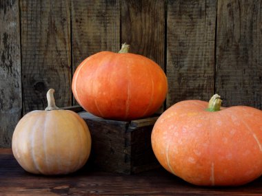 Kabak ahşap arka plan üzerinde. Rustik fotoğraf