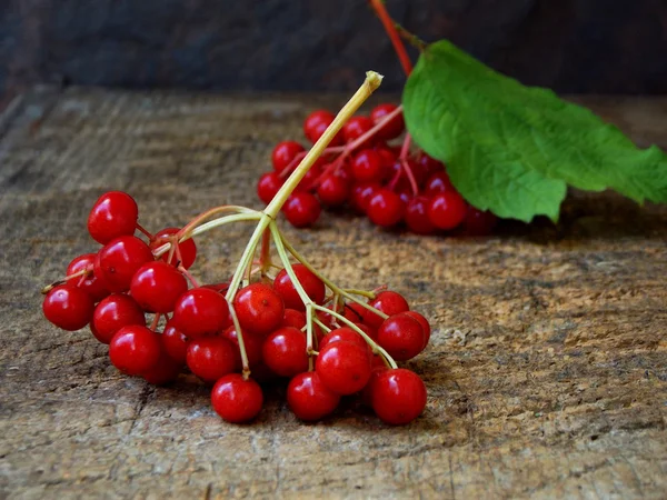 Twig viburnum on a wooden background. — Stock Photo, Image