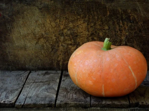 Citrouille sur fond en bois. Photo rustique — Photo