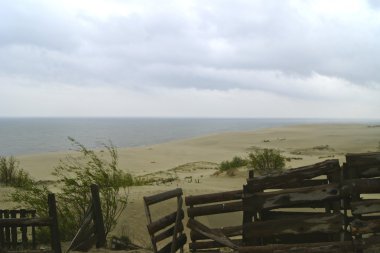 Kumullar ve Baltık Denizi