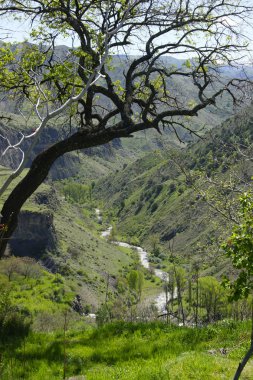 Garni gorge nehirde