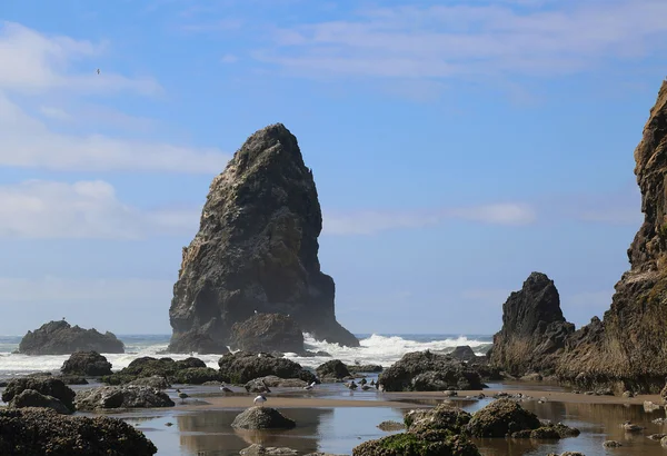 Pobřežní Oregon. — Stock fotografie