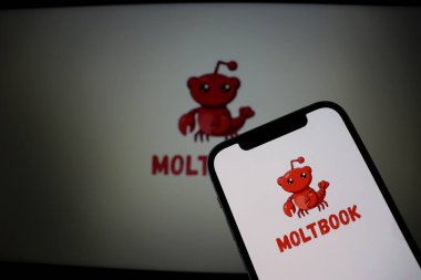 Salvador, Brezilya - 9 Şubat 2026: Moltbook sosyal ağı ekranda gösterildi. Yapay zeka özel topluluğu kavramı. Moltbook Yapay Zeka logosu.