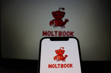 Salvador, Brezilya - 9 Şubat 2026: Moltbook sosyal ağı ekranda gösterildi. Yapay zeka özel topluluğu kavramı. Moltbook Yapay Zeka logosu.