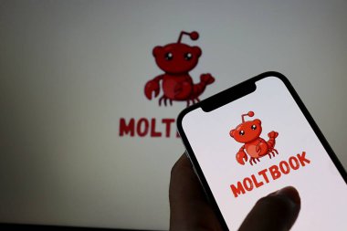 Salvador, Brezilya - 9 Şubat 2026: Moltbook sosyal ağı ekranda gösterildi. Yapay zeka özel topluluğu kavramı. Moltbook Yapay Zeka logosu.