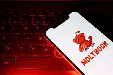 Salvador, Brezilya - 9 Şubat 2026: Moltbook sosyal ağı ekranda gösterildi. Yapay zeka özel topluluğu kavramı. Moltbook Yapay Zeka logosu.