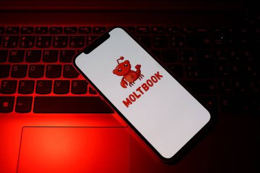 Salvador, Brezilya - 9 Şubat 2026: Moltbook sosyal ağı ekranda gösterildi. Yapay zeka özel topluluğu kavramı. Moltbook Yapay Zeka logosu.