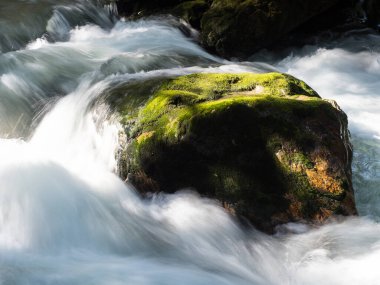 Hızlı akan bir nehir, güneşli yeşil parlak yosunlarla bir kayanın etrafında dönüyor. Su, durgun kayanın tersine etki etmesi için kasıtlı olarak bulanıklaştırılmış.