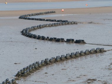 Midye yatakları ve kafesler Deve Estuary, Cornwall 'da sular çekildiğinde açıkta kalır..