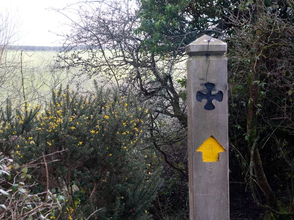 Footpath marker on South Downs Way in Cornwall with Celtic cross symbol.Gorse in background
