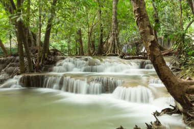Jed Sao Noi şelale yağmur ormanları içinde. (: Saraburi, Thailand)