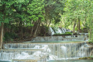 Derma şelale yağmur ormanı Tayland.
