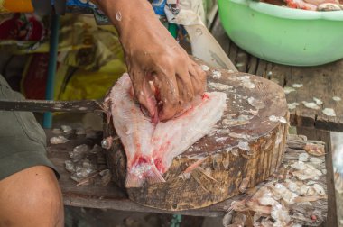 taze balık bir kesme tahtası üzerinde kesme eller