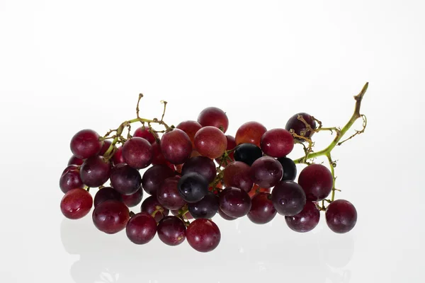 Red grape — Stock Photo, Image