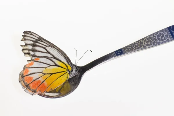 Yellow butterfly in spoon — Stock Photo, Image