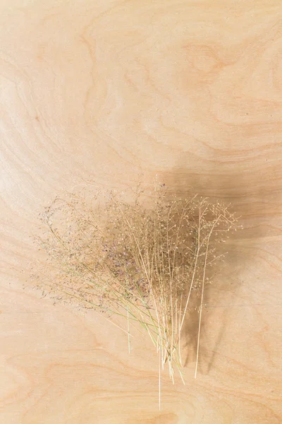 Flor de hierba — Foto de Stock