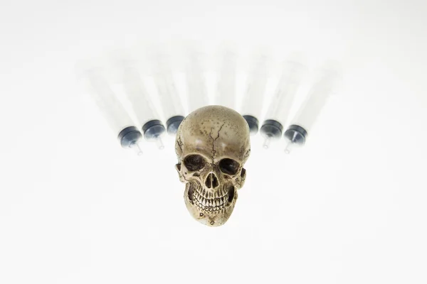 Human skull — Stock Photo, Image