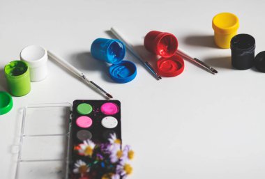 Boya ve fırçalar için boya seti. Farklı renklerde boyalar, hepsi beyaz arkaplanda.