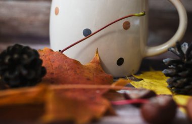 Yapraklar, koniler, fincanlar, süveterler ile sonbahar dekorasyonu