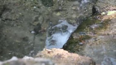 Yazın akan nehir. berrak ve şeffaf su