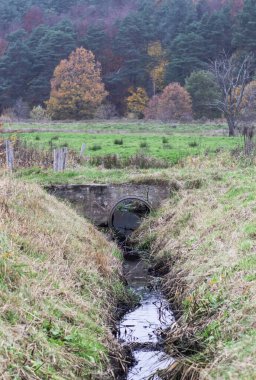 Küçük bir nehir ve köprü yakınında sonbahar doğası..